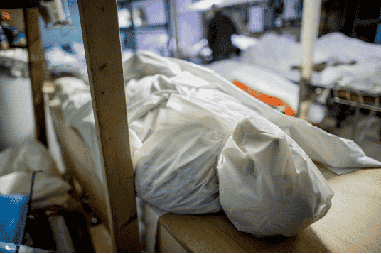 Picture of corpse in body bag