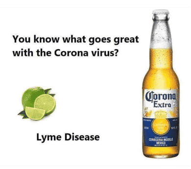 Photo of beer and lime and caption "you know what goes great with th corona virus". "Lyme Disease"