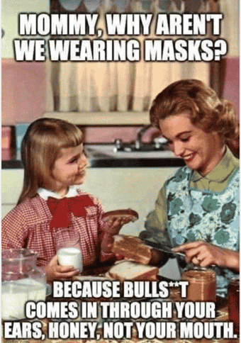 Meme Mommy, why aren't we wearing masks.

Because Bulls**t comes in through your ears, honey, not your mouth