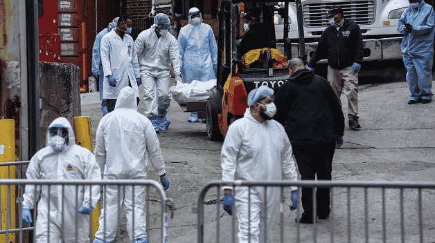 Photo of medical staff transporting bodies on a forklift