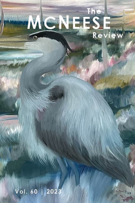 Cover of Volume 60. Egret in a swamp